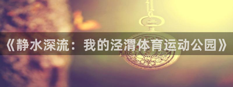 球王会体育