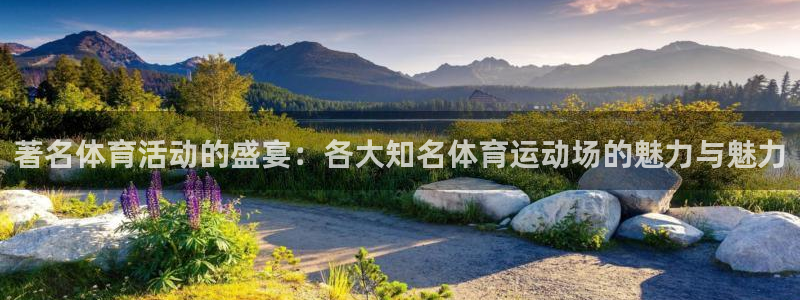 球王会体育