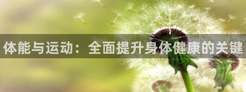 球王会体育