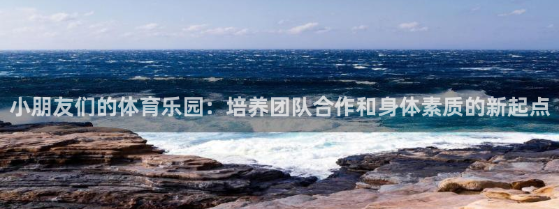 球王会体育