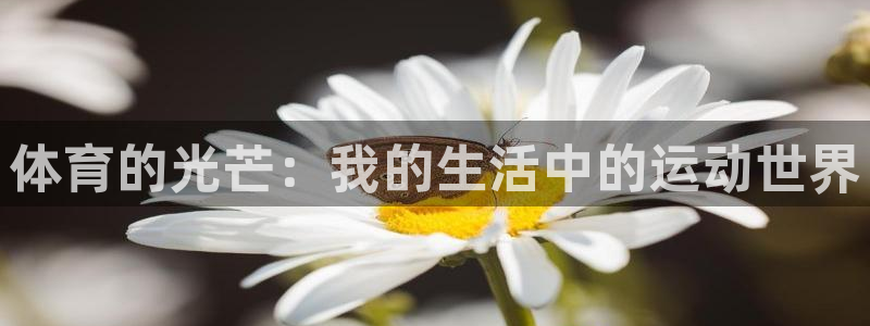 球王会体育