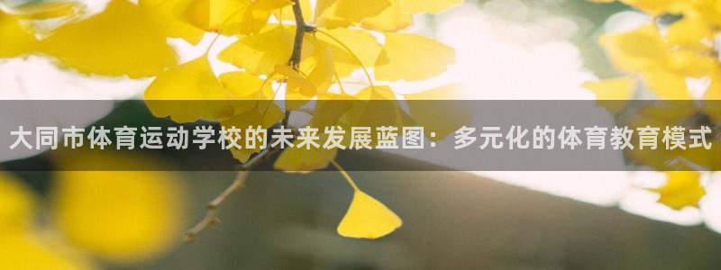 球王会体育