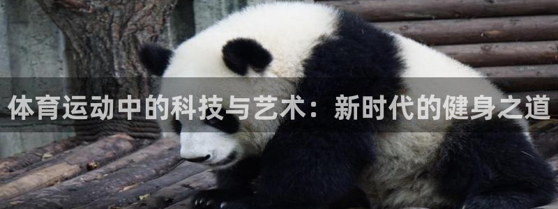 球王会体育