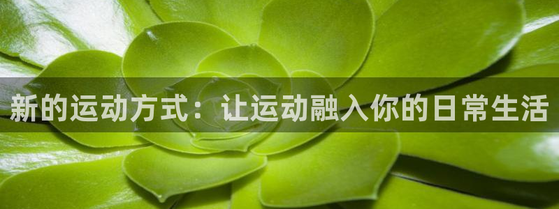 球王会体育