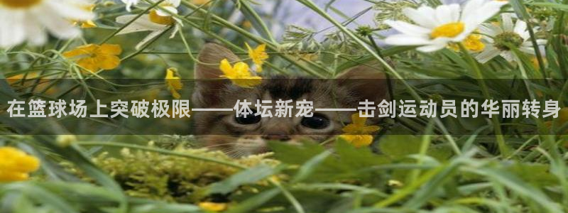 球王会体育