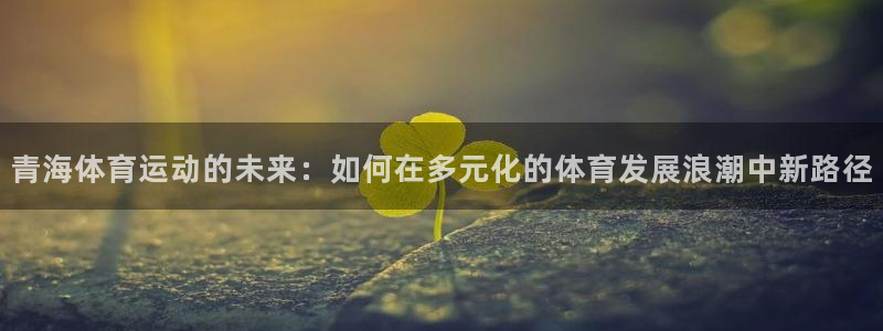 球王会体育