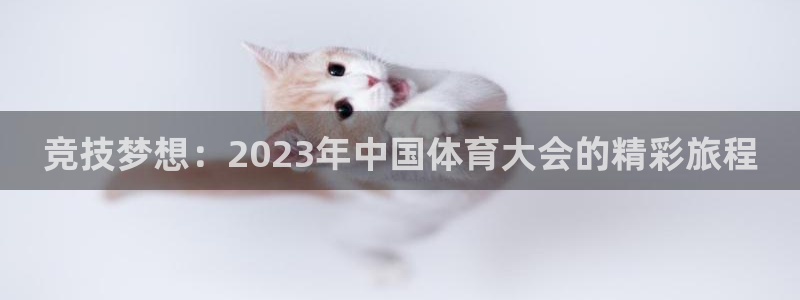 球王会体育