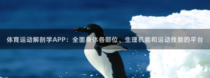 球王会体育