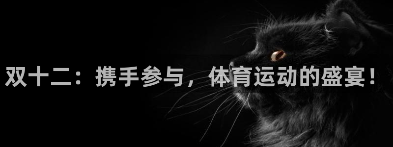 球王会体育