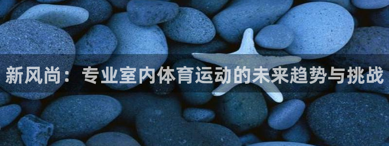 球王会体育