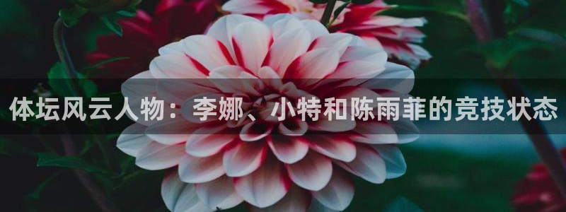 球王会体育
