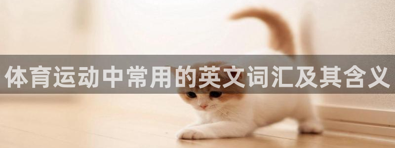 球王会体育