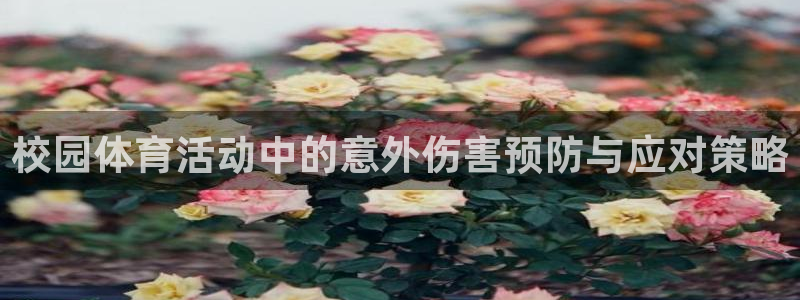 球王会体育