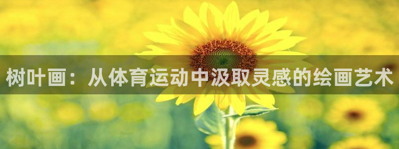 球王会体育