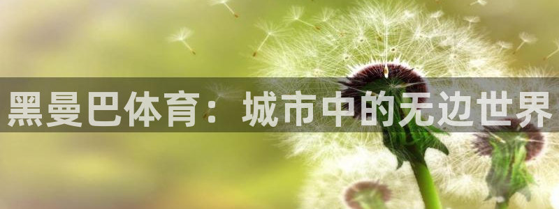 球王会体育